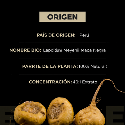 Maca Negra Orgánica con Ashwagandha
